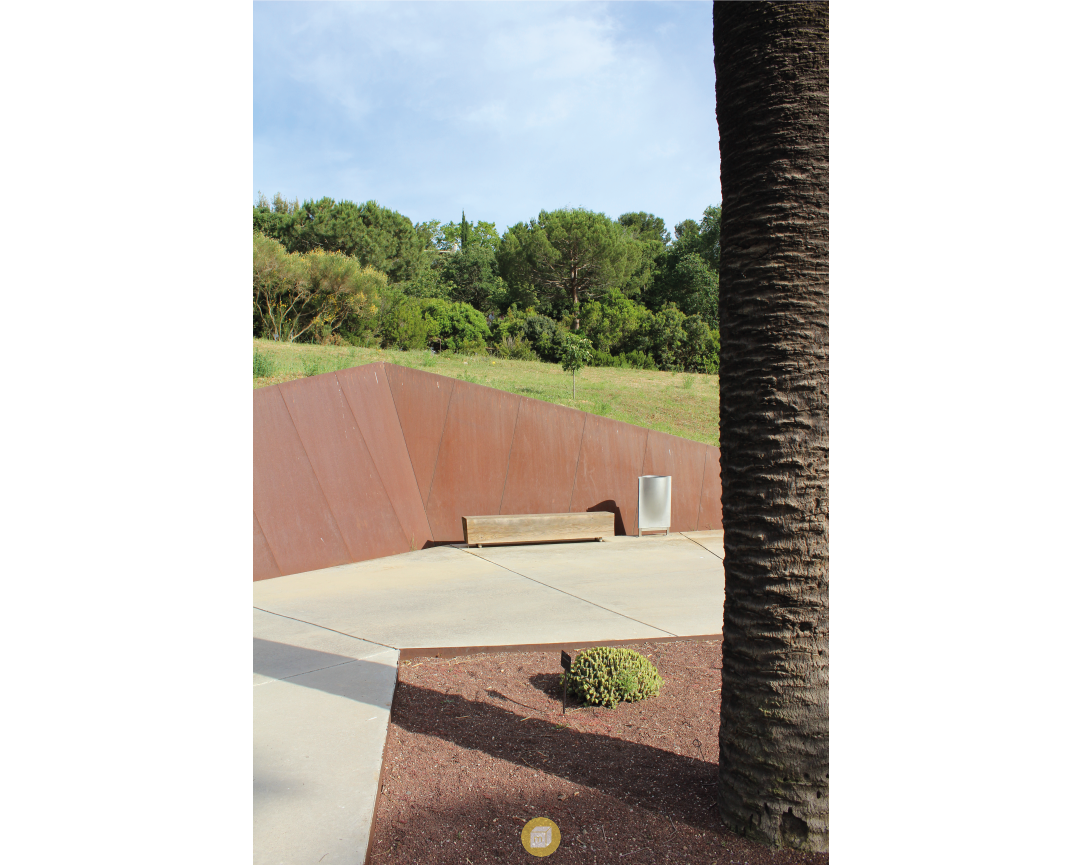 Artistic picture - OAB - Barcelona Botanical Garden 